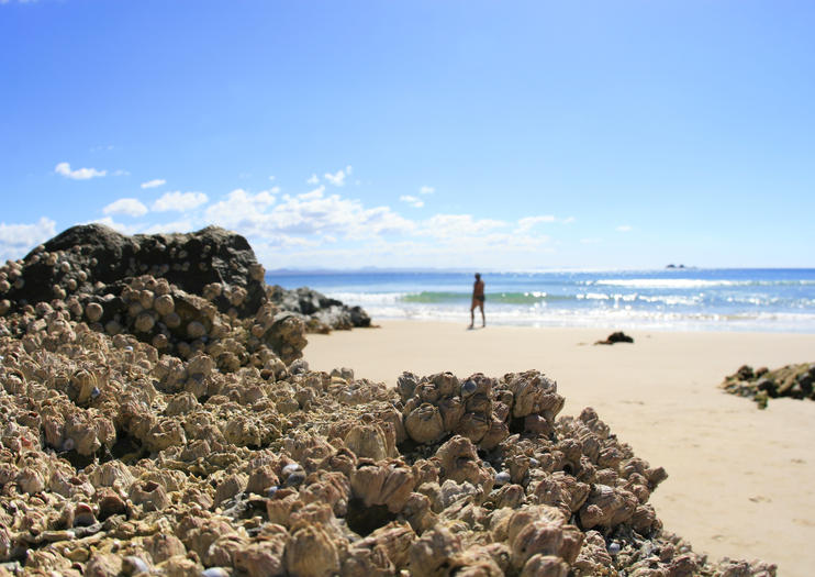 Belongil Beach